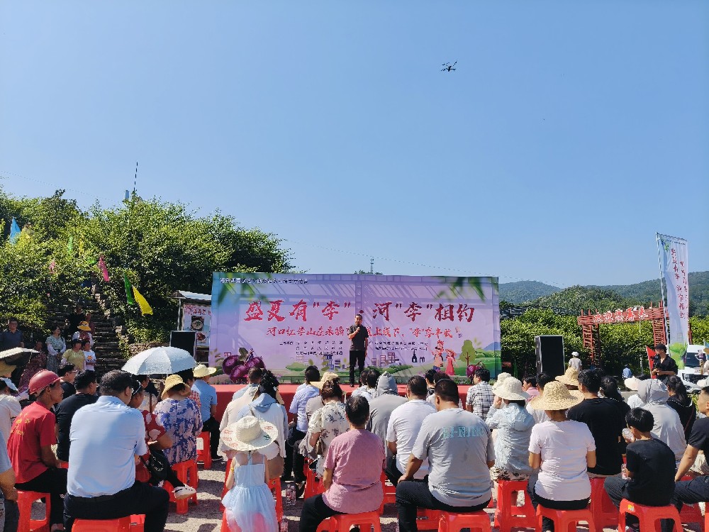 大全景.jpg